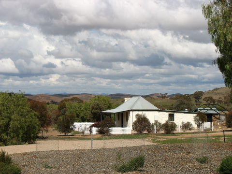 Rose Cottage - New Castle Holiday 0