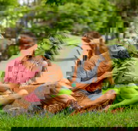 Secura Lifestyle Countryside Kalaru - New Castle Holiday