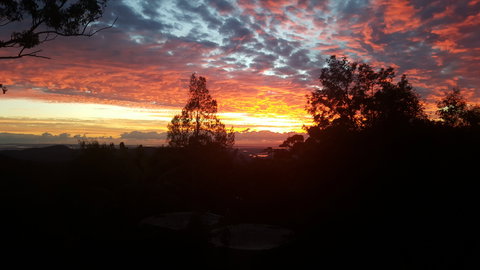 Tamborine Mountain Bed And Breakfast - New Castle Holiday 2