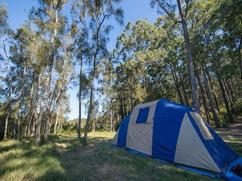 Tattersalls Campground - New Castle Holiday 1