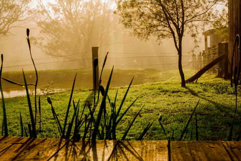 Tobruk Sydney Farm Stay - New Castle Holiday 1