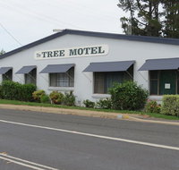 Tree Motel - New Castle Holiday