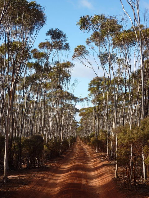 Victoria Rock Camp At Goldfields Woodlands National Park - New Castle Holiday 0