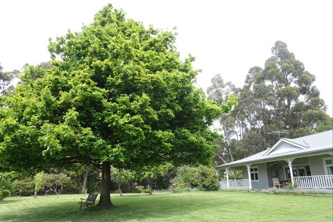 Wavestation - New Castle Holiday 0