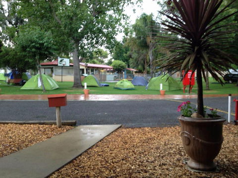 Young Caravan Tourist Park - New Castle Holiday 0