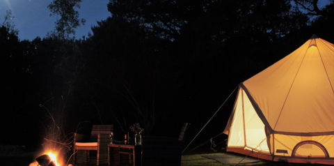 Zeehan Bush Camp - New Castle Holiday 1