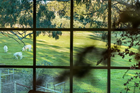 Australia Suite - New Castle Holiday 1