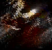 Billy Grace Reserve - New Castle Holiday