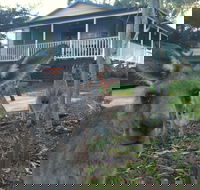 Bush and Bay Cottage - New Castle Holiday