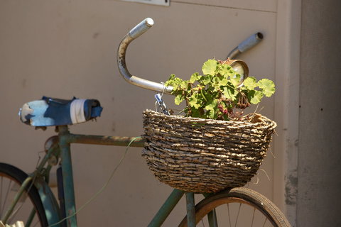 Catania Cottage And Farmhouse - New Castle Holiday 0