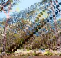 Coolah Tops National Park Camping - New Castle Holiday