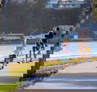 Discovery Parks - Ballina - New Castle Holiday