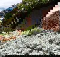 Kangaroos in the Top Paddock - New Castle Holiday