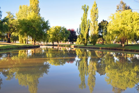 Lockhart Caravan Park - New Castle Holiday 0