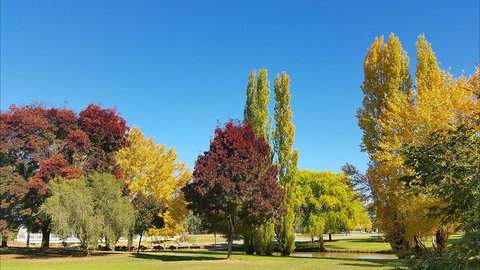 Lockhart Caravan Park - New Castle Holiday 1