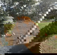 Mudgees Getaway Cottages - New Castle Holiday