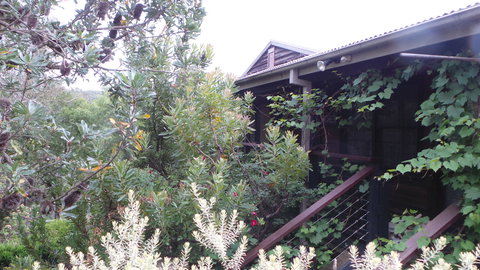 Rachels Retreat - New Castle Holiday 0