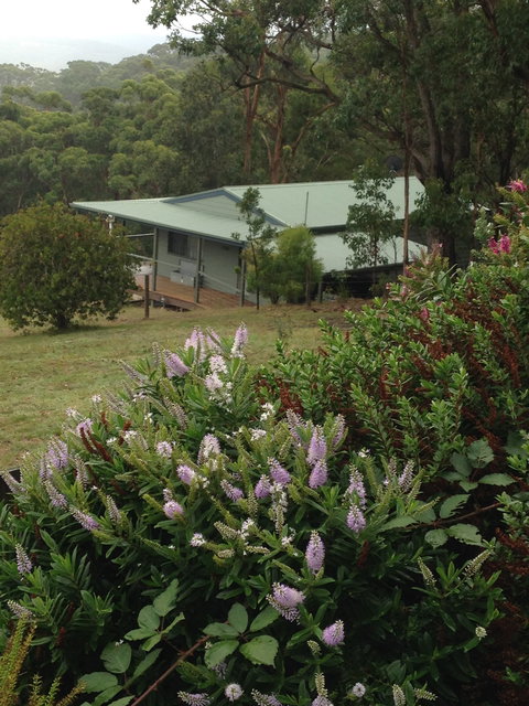 Southern Anchorage Retreat - New Castle Holiday 1