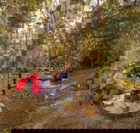 Thungutti campground - New Castle Holiday