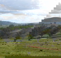 Wantana Cottage Farm Stay - New Castle Holiday