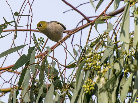 Willandra Group Campground - New Castle Holiday 1