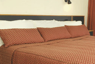 Margarets Forest Holiday Apartments - New Castle Holiday