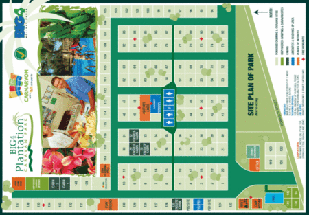 BIG4 Plantation Caravan Park - New Castle Holiday 2
