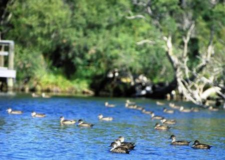 Comfort Inn Yanchep - New Castle Holiday 4