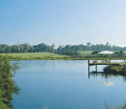 Forest Rise Eco Retreat - New Castle Holiday