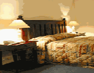 Comfort Inn Treetop Walk - New Castle Holiday