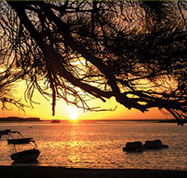 Pelican's Nest - New Castle Holiday