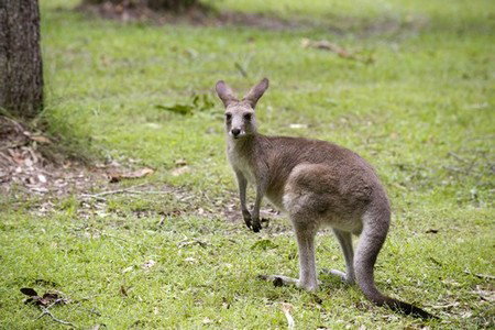 Hungry Head Cabins - New Castle Holiday 3