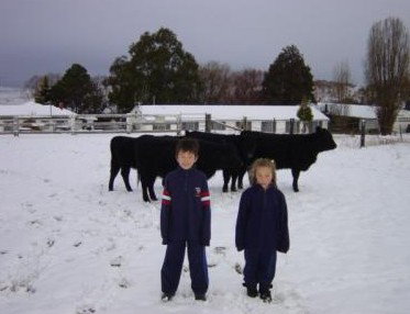 San Michele Resort - New Castle Holiday 4