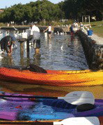 Turner Caravan Park - New Castle Holiday 1