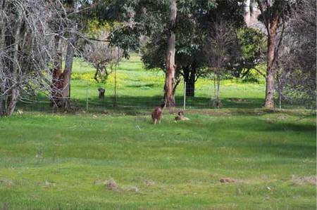 Chalets On Stoneville - New Castle Holiday 0