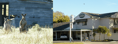 Acacia Motor Inn - New Castle Holiday 5