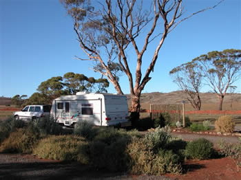 Fraser Range Sheep Station - New Castle Holiday 0
