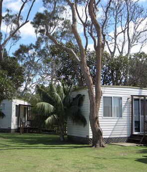 Arrawarra Beach Holiday Park - New Castle Holiday 0