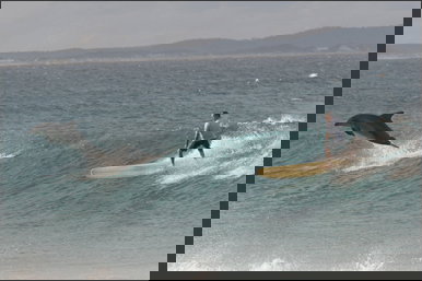 Spot X - New Castle Holiday 2