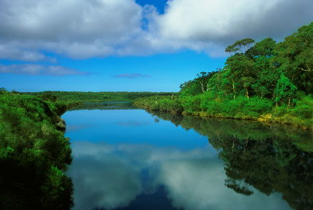 Nutkin Lodge - New Castle Holiday 3