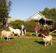 Sunnyhurst Chalets - New Castle Holiday