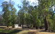 Balranald Caravan Park - thumb 0