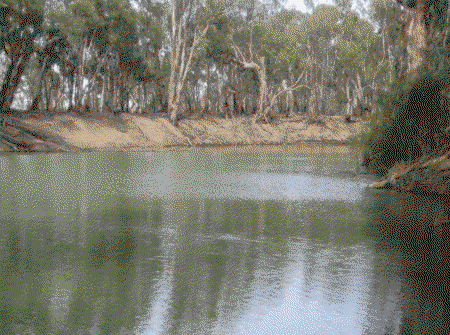 Balranald Club Motel - New Castle Holiday 1
