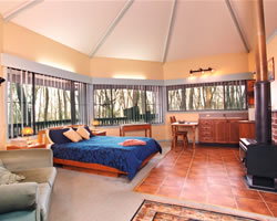 Possums Hideaway - New Castle Holiday 1