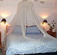 Bondi Beach Garden Sweet - New Castle Holiday