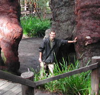 Walpole Lodge - New Castle Holiday