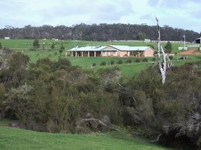 Stargazers - New Castle Holiday 1