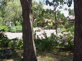 Peaceful Bay Bed And Breakfast - New Castle Holiday 0
