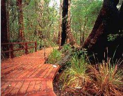 Coalmine Beach Holiday Park - New Castle Holiday 3