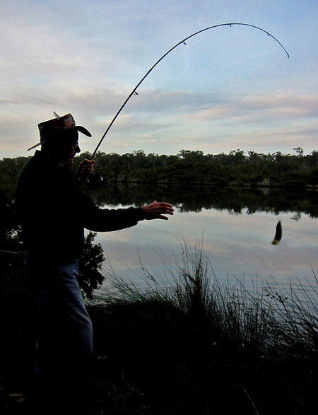 Molloy Caravan Park - New Castle Holiday 5
